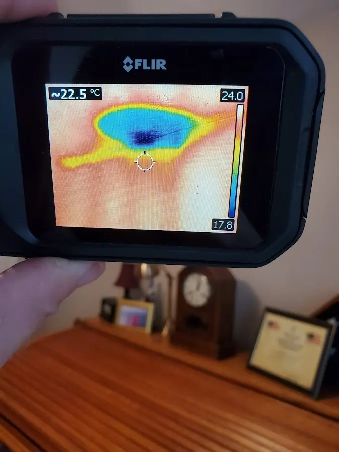 Thermal imaging inspection for water damage in Carmichael