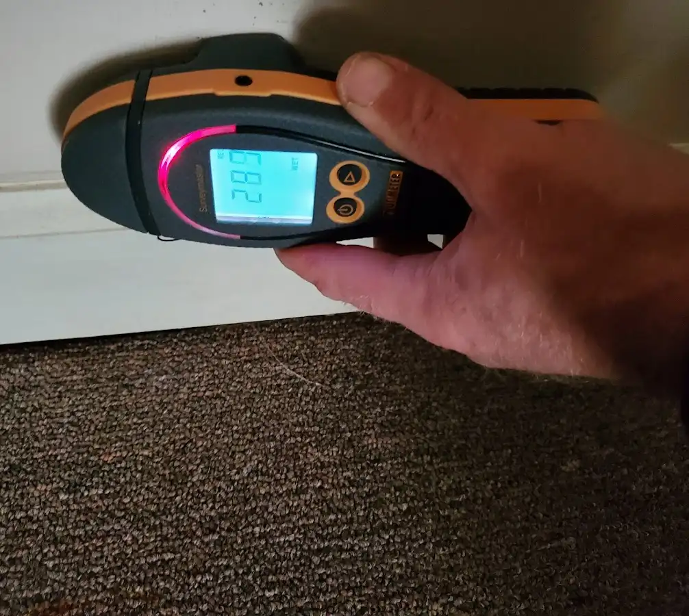 Moisture detection at baseboard during Sewage Cleanup & Sanitation in Carmichael